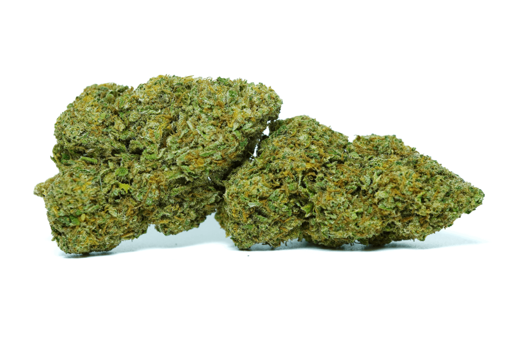 Alien Cookie — view 2