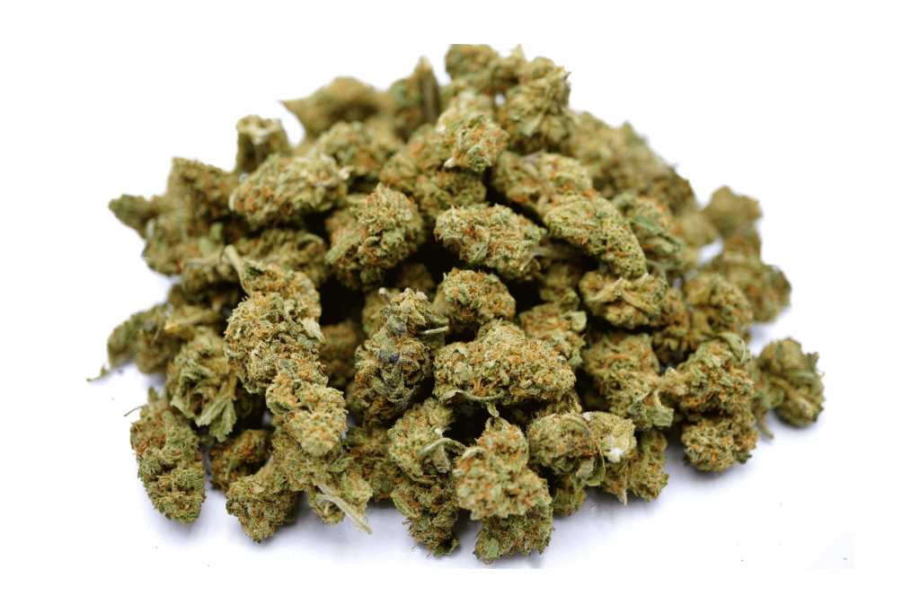 Small Buds