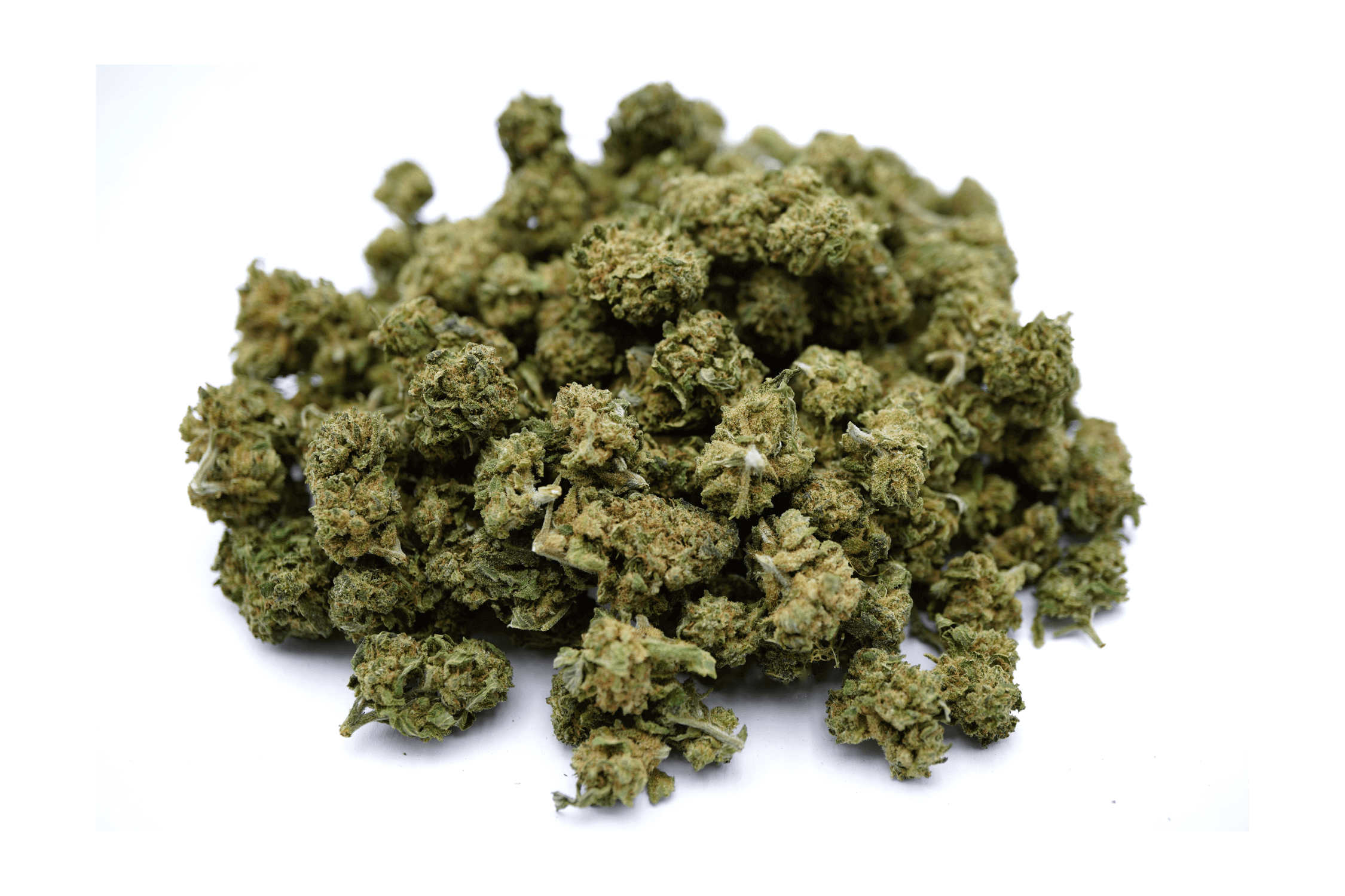 Small Buds — view 2