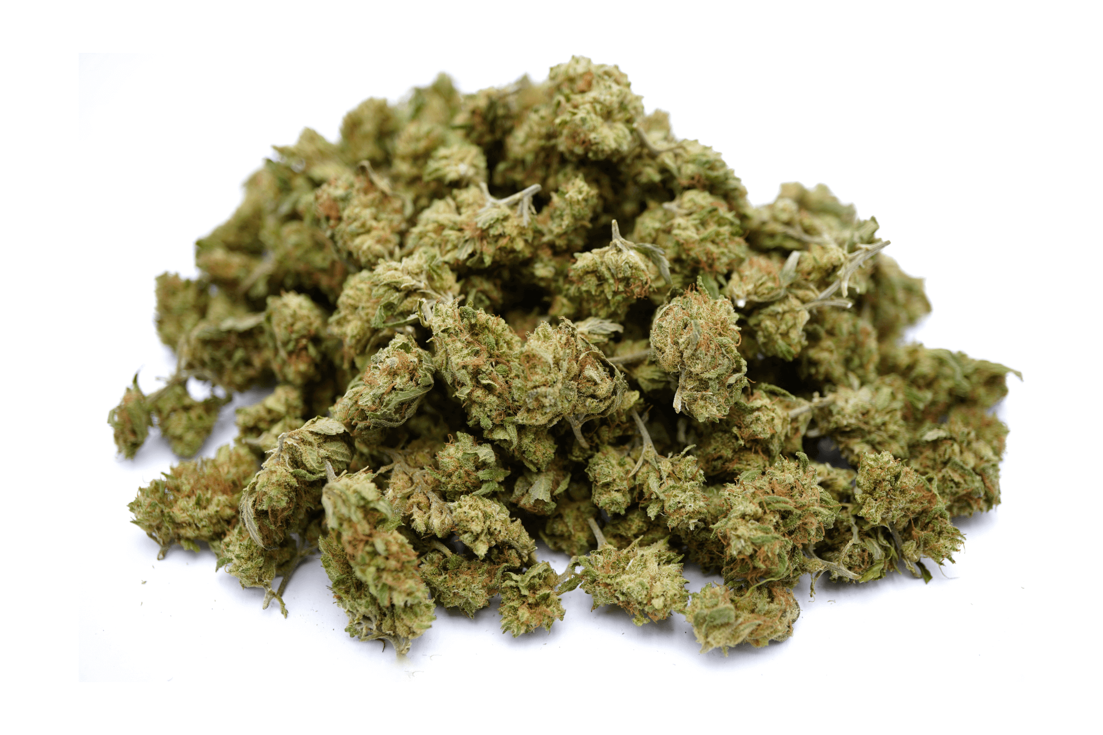 Small Buds — view 3