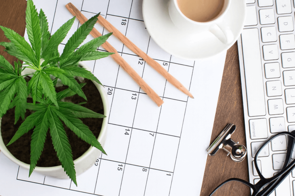 Cultivation Planning — Services